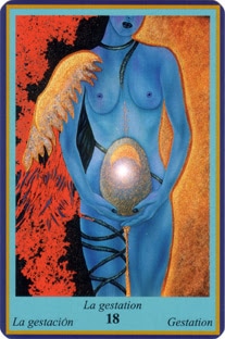 Oracle Bleu- carte La gestation