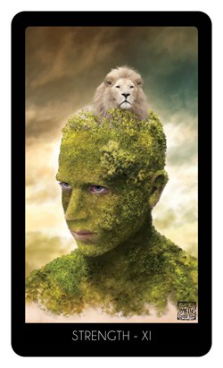 Le 78 tarot carte la force