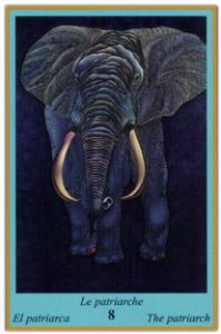 Oracle bleu: la carte Le Patriarche