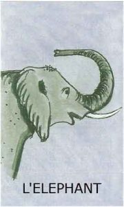 Oracle chance: la carte Eléphant