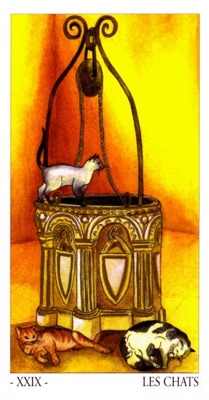 L'oracle de Venise: les chats