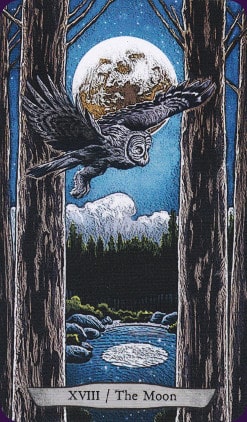 Tarot animal Totem carte la Lune