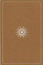 Les anges : Cartes oracles le dos des cartes