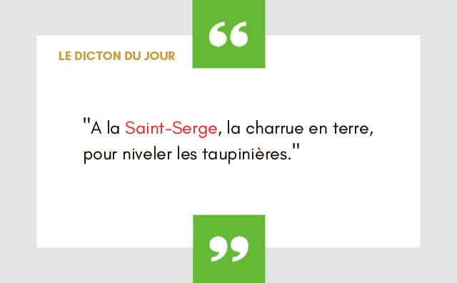 Dicton 07 Octobre