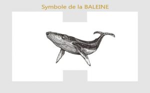 Baleine : Symboles et signification