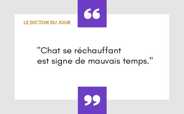 Dicton du 12 novembre