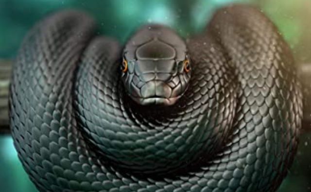 Le rêve angoissant d'être entouré de serpents noirs :