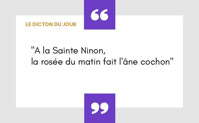 Dicton du 15 décembre
