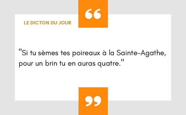 Dicton 05 février