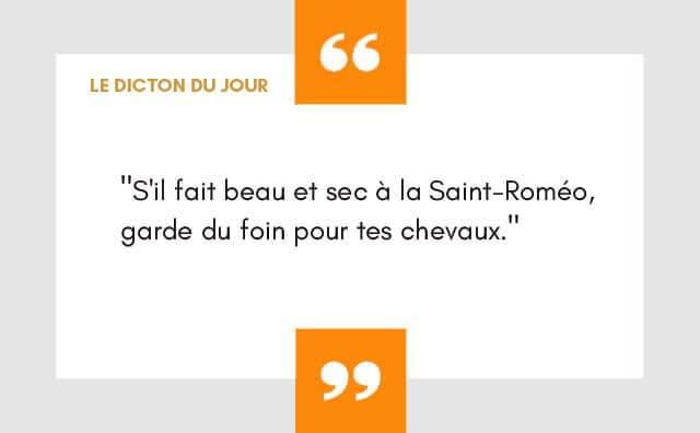 Dicton 25 février