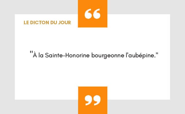 Dicton 27 février