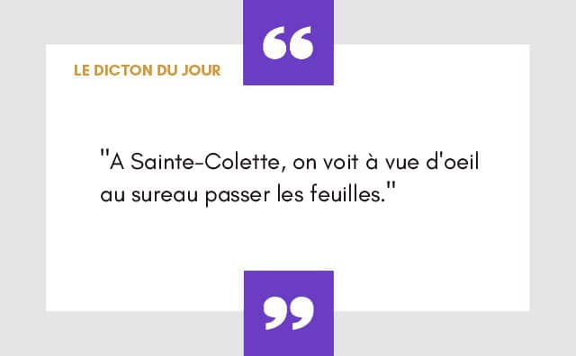 Dicton 06 Mars