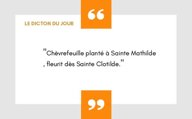 Dicton 14 Mars