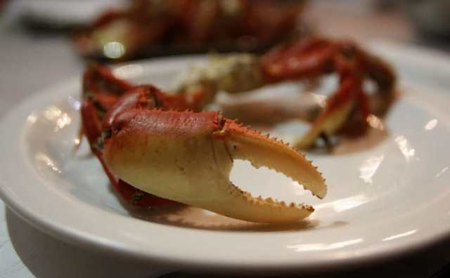 Pourquoi rêver de pinces de crabe ?