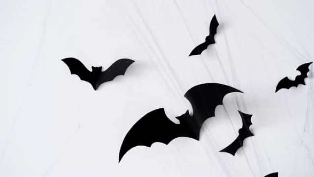 Quel est le symbole de la chauve-souris d'Halloween?