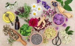 Les bienfaits des huiles essentielles en aromathérapie quand on est malade :
