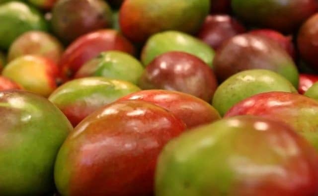 Rêver de beaucoup de mangues : signification et interprétations