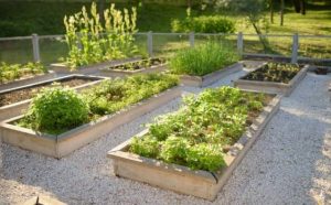 Rêver de parterre : quelles interprétations et significations ?