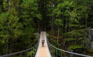 Rêver de traverser un pont : quelles interprétations et significations ?