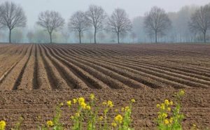 Rêver de labourer la terre : quelles interprétations, symbolisme et significations ?