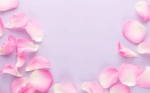Rêver de pétales de fleurs : quelles interprétations, symbolisme et significations ?