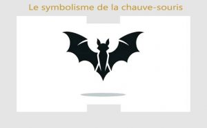 Chauve-souris et ses symboles