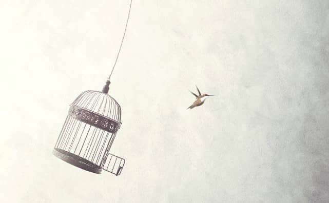 Pourquoi rêver de cage en islam ?