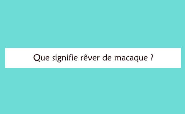 Interprétation détaillée d'un rêve de macaque :