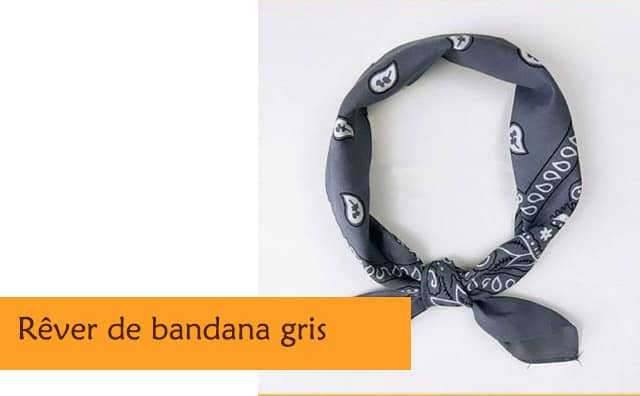 Pourquoi rêver de badana gris ?