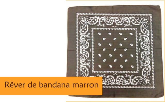 Pourquoi rêver de badana marron ?