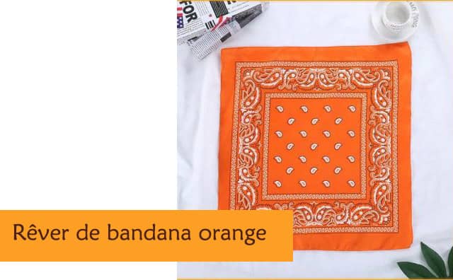 Pourquoi rêver de badana orange ?