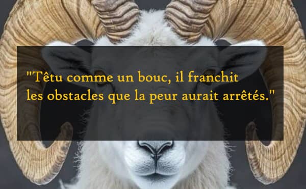 Citation : bouc
