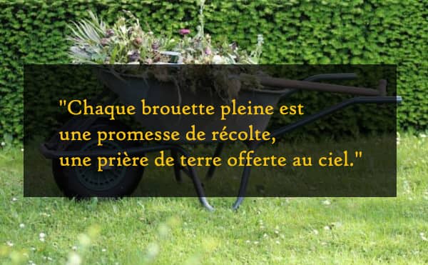 Citation : brouette