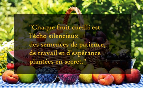 Citation : récolte de fruits