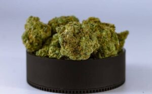 Pourquoi rêver de cacher de la drogue ?