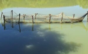 Pourquoi rêver d’un filet de pêche ?