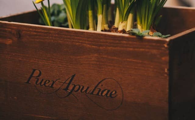 Le rêve de caisse en bois et sa signification : 